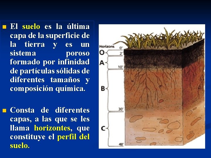 n El suelo es la última capa de la superficie de la tierra y n El suelo es la última capa de la superficie de la tierra y