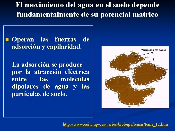 El movimiento del agua en el suelo depende fundamentalmente de su potencial mátrico n El movimiento del agua en el suelo depende fundamentalmente de su potencial mátrico n