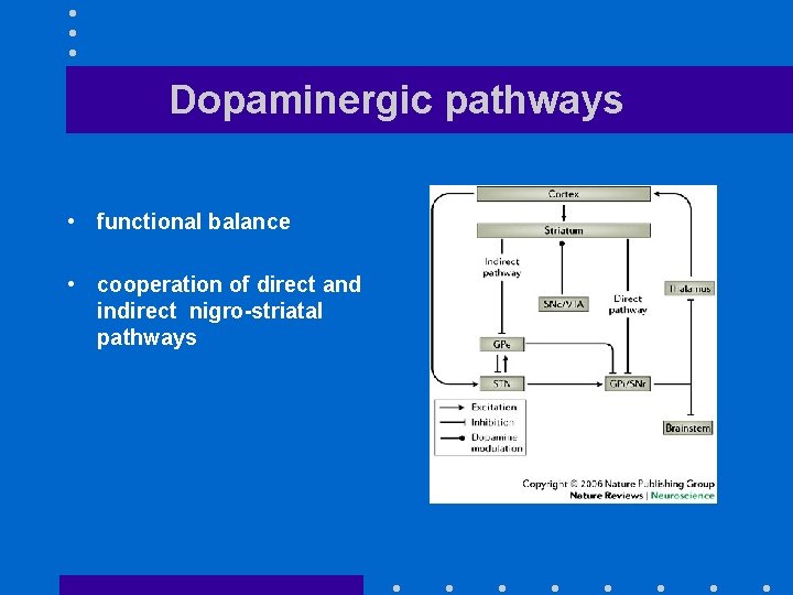 Dopaminergic pathways • functional balance • cooperation of direct and indirect nigro-striatal pathways 