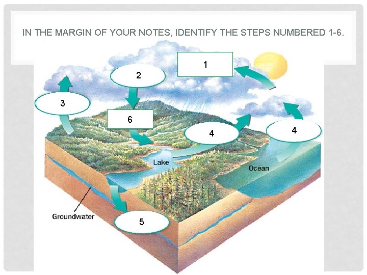 IN THE MARGIN OF YOUR NOTES, IDENTIFY THE STEPS NUMBERED 1 -6. 1 2