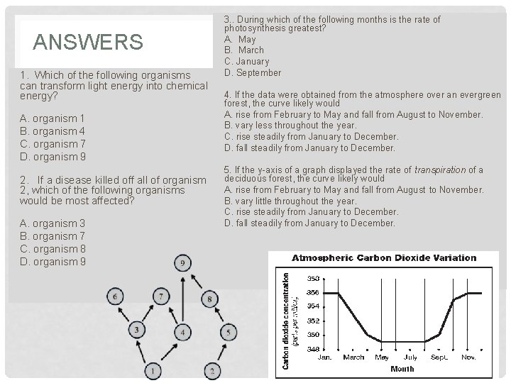 ANSWERS 1. Which of the following organisms can transform light energy into chemical energy?