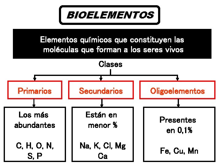 BIOELEMENTOS Elementos químicos que constituyen las moléculas que forman a los seres vivos Clases