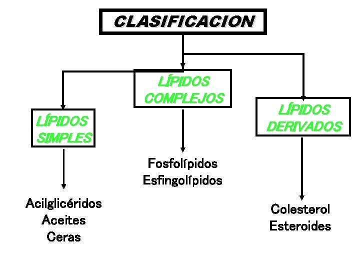 CLASIFICACION LÍPIDOS COMPLEJOS LÍPIDOS SIMPLES LÍPIDOS DERIVADOS Fosfolípidos Esfingolípidos Acilglicéridos Aceites Ceras Colesterol Esteroides