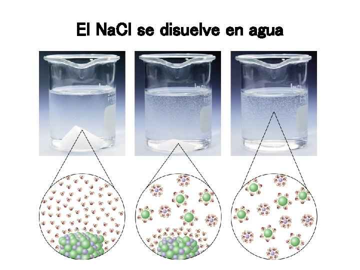 El Na. Cl se disuelve en agua 