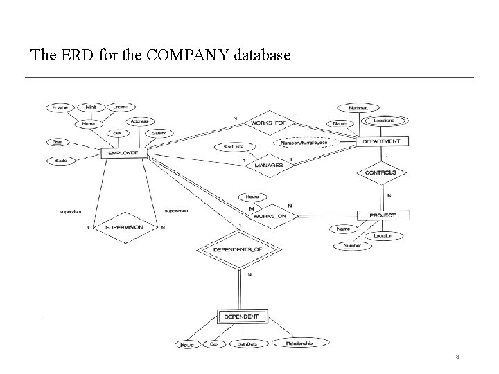 The ERD for the COMPANY database 3 