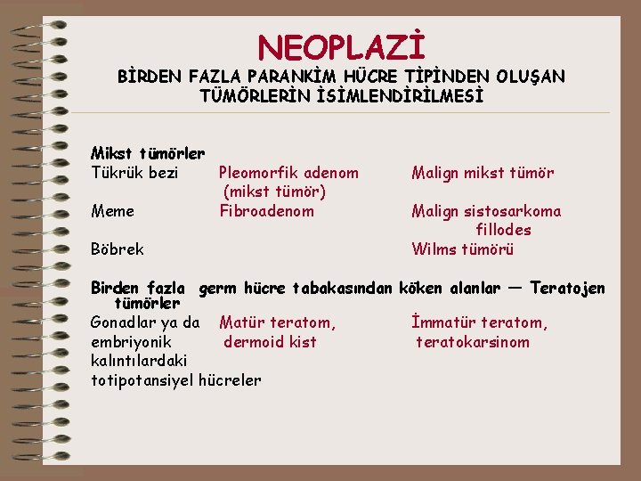 NEOPLAZİ BİRDEN FAZLA PARANKİM HÜCRE TİPİNDEN OLUŞAN TÜMÖRLERİN İSİMLENDİRİLMESİ Mikst tümörler Tükrük bezi Pleomorfik