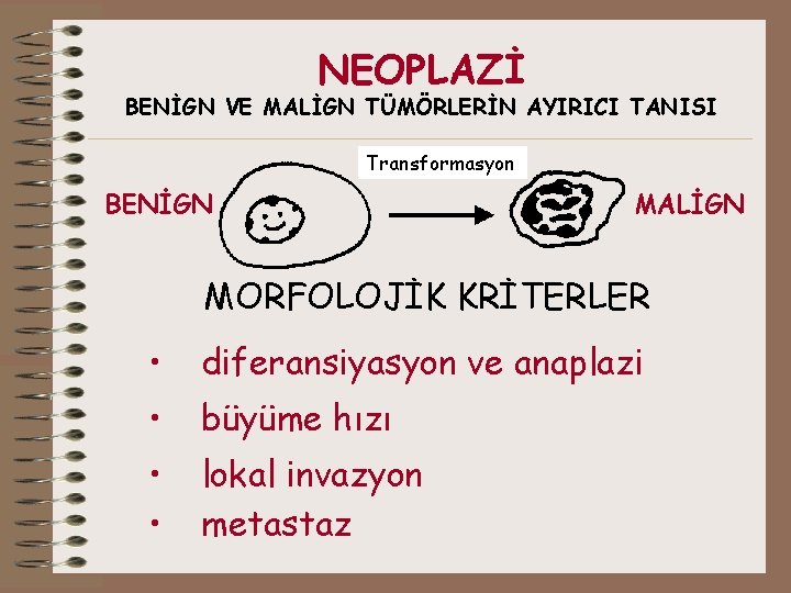 NEOPLAZİ BENİGN VE MALİGN TÜMÖRLERİN AYIRICI TANISI Transformasyon BENİGN MALİGN MORFOLOJİK KRİTERLER • diferansiyasyon