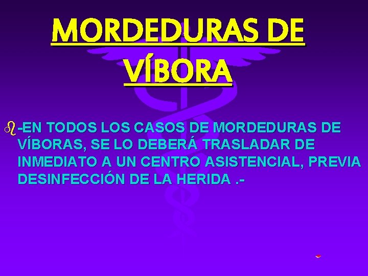 MORDEDURAS DE VÍBORA b-EN TODOS LOS CASOS DE MORDEDURAS DE VÍBORAS, SE LO DEBERÁ