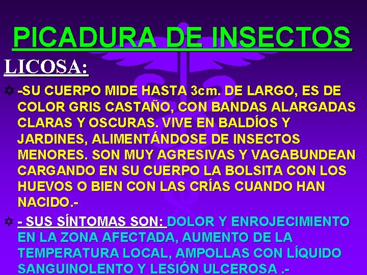 PICADURA DE INSECTOS LICOSA: Y -SU CUERPO MIDE HASTA 3 cm. DE LARGO, ES