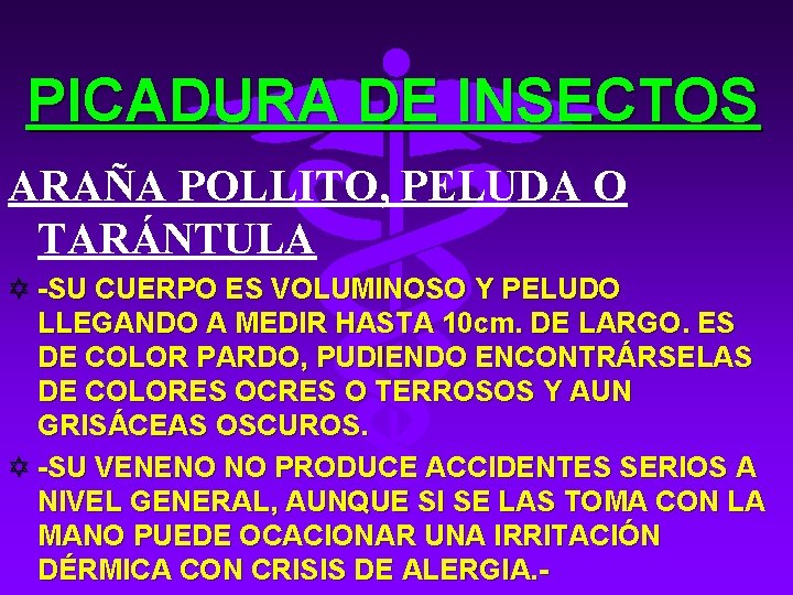 PICADURA DE INSECTOS ARAÑA POLLITO, PELUDA O TARÁNTULA Y -SU CUERPO ES VOLUMINOSO Y