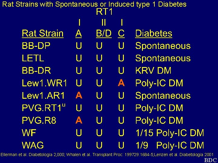 Rat Strains with Spontaneous or Induced type 1 Diabetes Ellerman et al. Diabetologia 2,