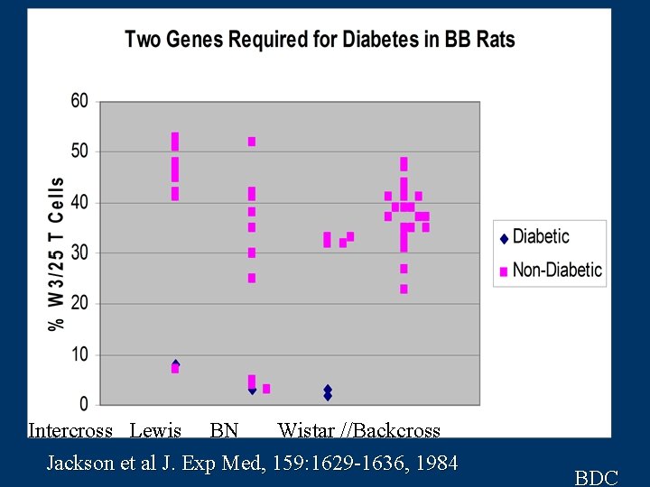 Intercross Lewis BN Wistar //Backcross Jackson et al J. Exp Med, 159: 1629 -1636,