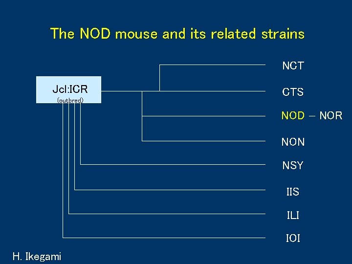 The NOD mouse and its related strains NCT Jcl: ICR (outbred) CTS NOD NON