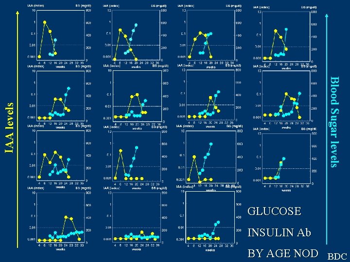 IAA levels Blood Sugar levels GLUCOSE INSULIN Ab WEEKS BY AGE NOD BDC 