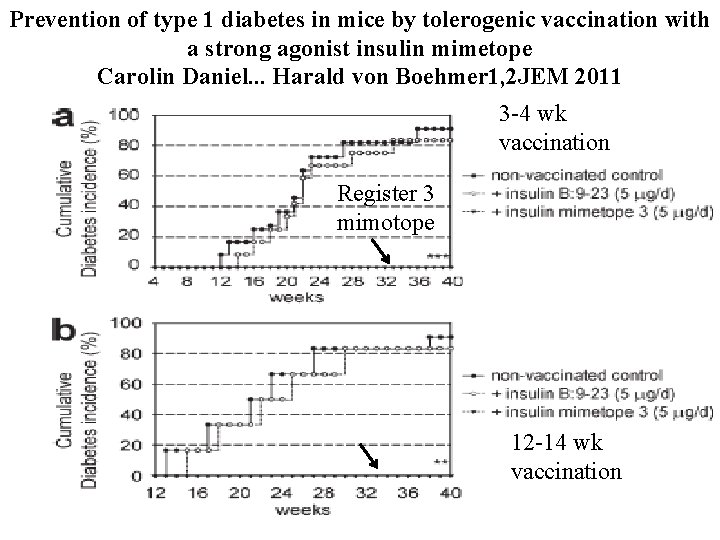 Prevention of type 1 diabetes in mice by tolerogenic vaccination with a strong agonist