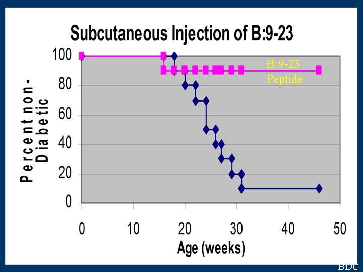 B: 9 -23 Peptide BDC 