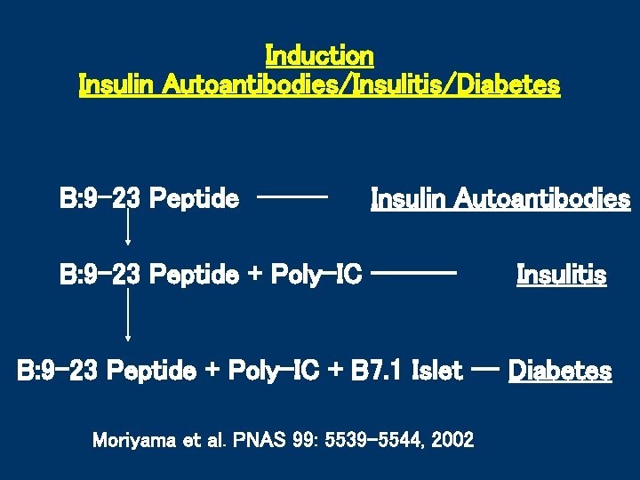 Induction Insulin Autoantibodies/Insulitis/Diabetes B: 9 -23 Peptide ----- Insulin Autoantibodies B: 9 -23 Peptide