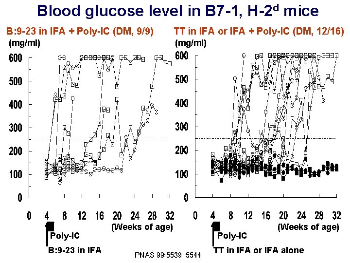 Blood glucose level in B 7 -1, H-2 d mice B: 9 -23 in