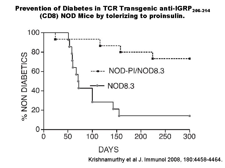 Prevention of Diabetes in TCR Transgenic anti-IGRP 206 -214 (CD 8) NOD Mice by