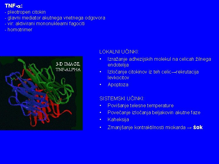 TNF- : - pleotropen citokin - glavni mediator akutnega vnetnega odgovora - vir: aktivirani