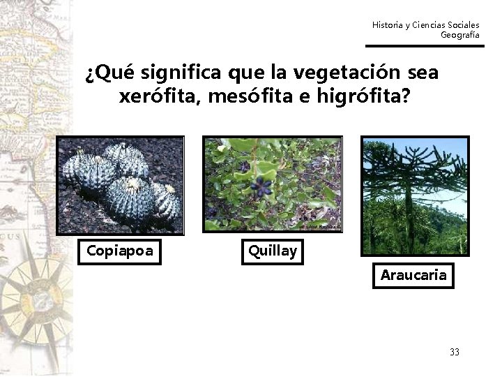 Historia y Ciencias Sociales Geografía ¿Qué significa que la vegetación sea xerófita, mesófita e