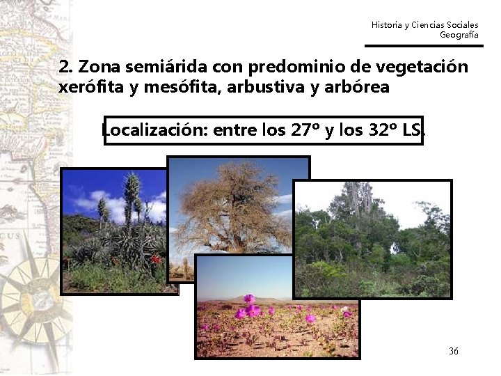 Historia y Ciencias Sociales Geografía 2. Zona semiárida con predominio de vegetación xerófita y