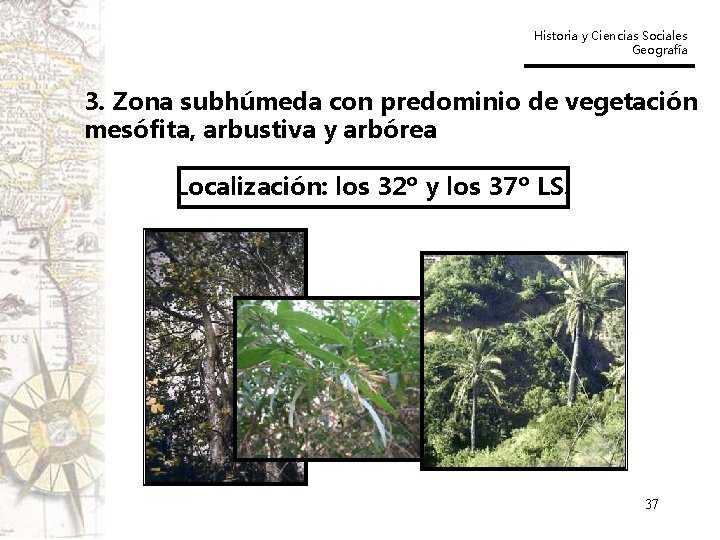 Historia y Ciencias Sociales Geografía 3. Zona subhúmeda con predominio de vegetación mesófita, arbustiva