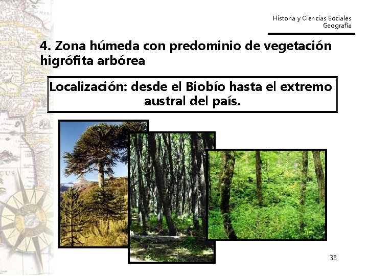 Historia y Ciencias Sociales Geografía 4. Zona húmeda con predominio de vegetación higrófita arbórea