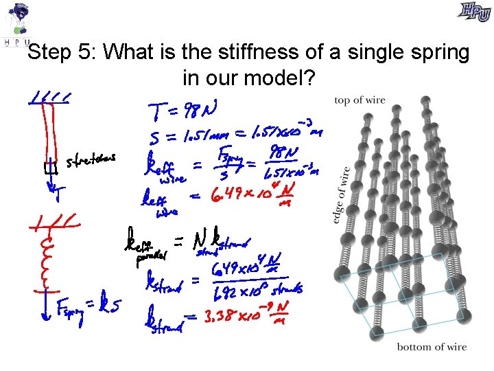 Step 5: What is the stiffness of a single spring in our model? 