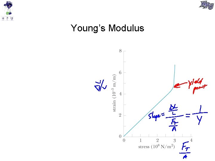 Young’s Modulus 