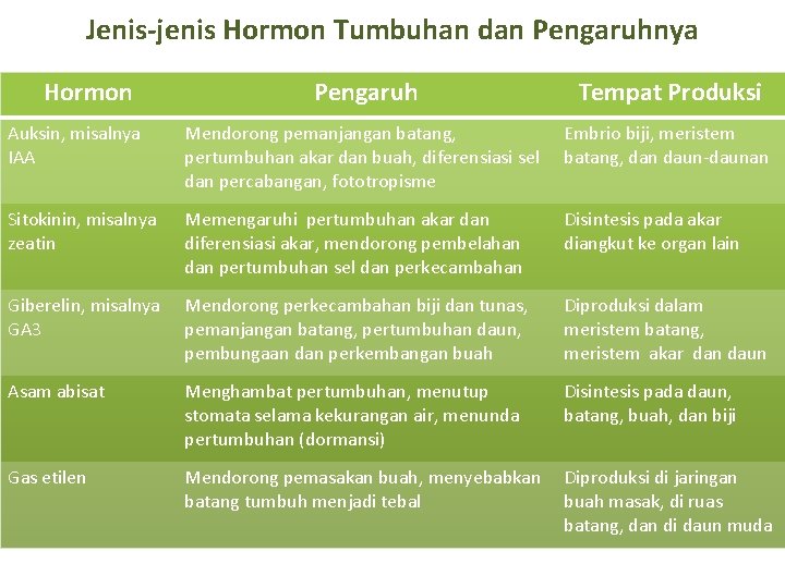 Jenis-jenis Hormon Tumbuhan dan Pengaruhnya Hormon Pengaruh Tempat Produksi Auksin, misalnya IAA Mendorong pemanjangan