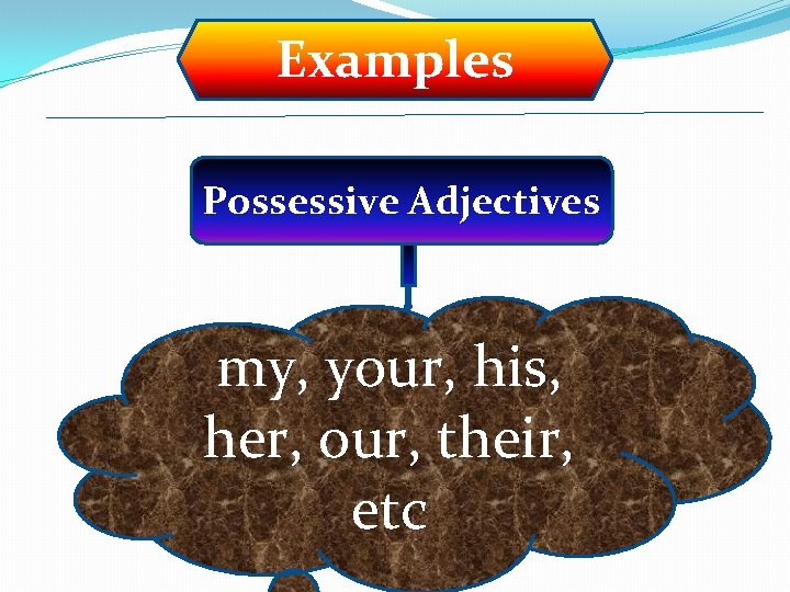 Examples Possessive Adjectives my, your, his, her, our, their, etc 