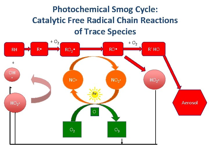 Photochemical Smog Cycle: Catalytic Free Radical Chain Reactions of Trace Species + O 2