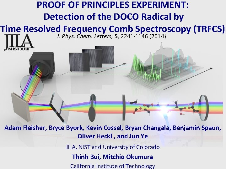 PROOF OF PRINCIPLES EXPERIMENT: Detection of the DOCO Radical by Time Resolved Frequency Comb