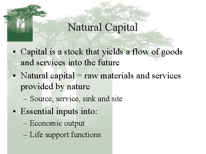 Natural Capital • Capital is a stock that yields a flow of goods and