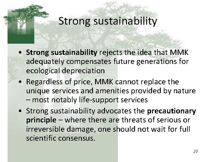 Strong sustainability • Strong sustainability rejects the idea that MMK adequately compensates future generations