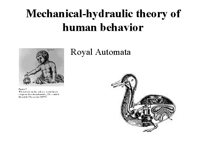 Mechanical-hydraulic theory of human behavior Royal Automata 
