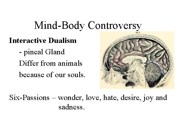 Mind-Body Controversy Interactive Dualism - pineal Gland Differ from animals because of our souls.