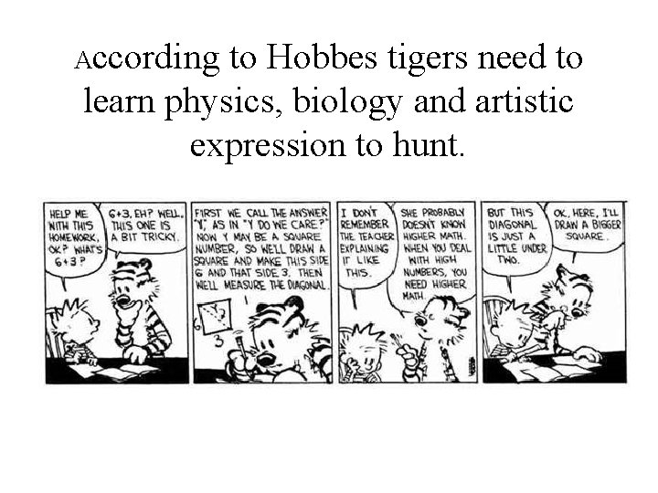 According to Hobbes tigers need to learn physics, biology and artistic expression to hunt.