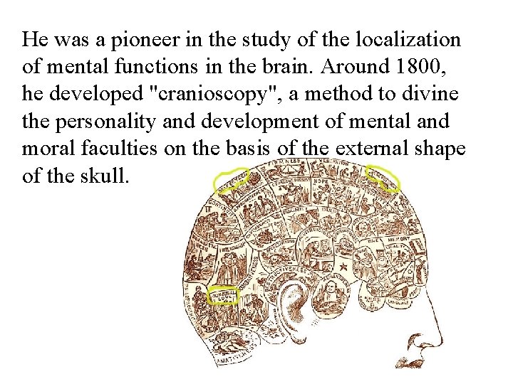 He was a pioneer in the study of the localization of mental functions in