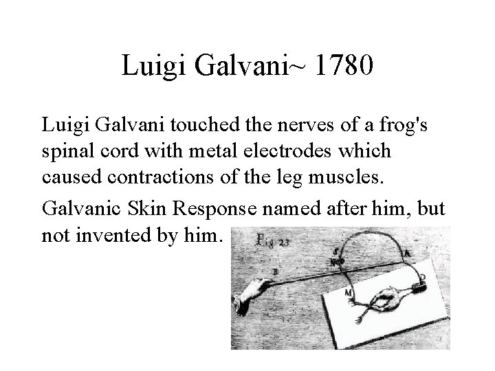 Luigi Galvani~ 1780 Luigi Galvani touched the nerves of a frog's spinal cord with