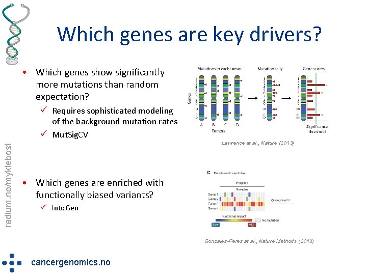 Which genes are key drivers? • Which genes show significantly more mutations than random