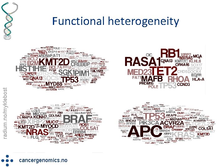 radium. no/myklebost Functional heterogeneity cancergenomics. no 
