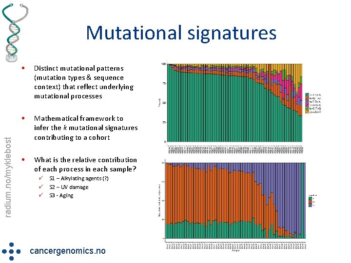 radium. no/myklebost Mutational signatures • Distinct mutational patterns (mutation types & sequence context) that