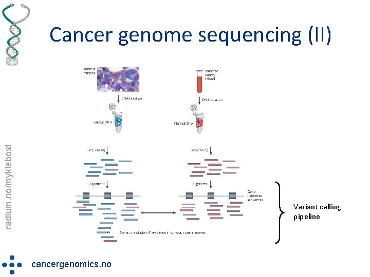 radium. no/myklebost Cancer genome sequencing (II) Variant calling pipeline cancergenomics. no 