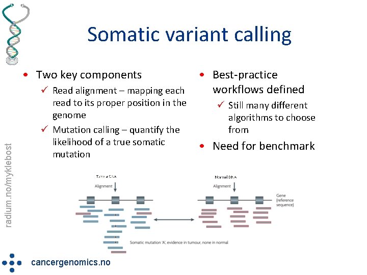 Somatic variant calling radium. no/myklebost • Two key components ü Read alignment – mapping