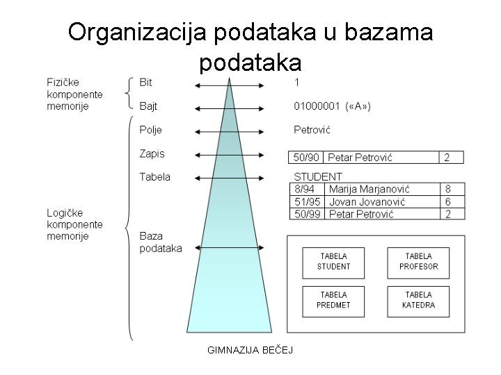 Organizacija podataka u bazama podataka GIMNAZIJA BEČEJ 