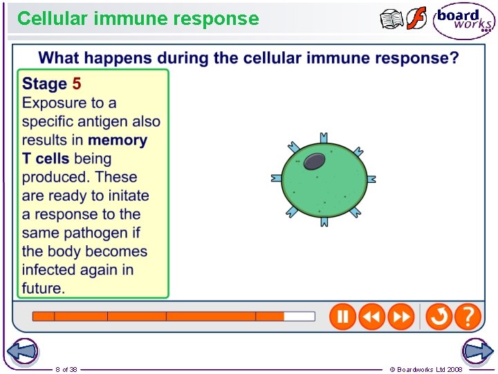 Cellular immune response 8 of 38 © Boardworks Ltd 2008 