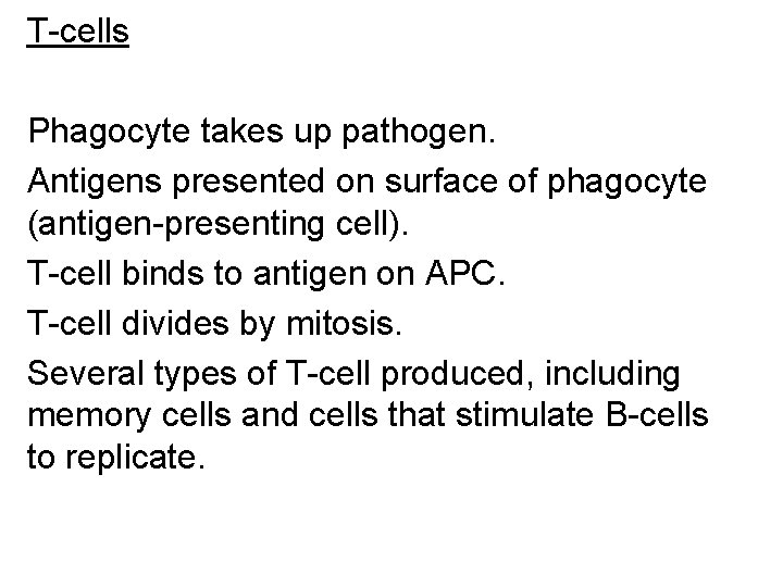 T-cells Phagocyte takes up pathogen. Antigens presented on surface of phagocyte (antigen-presenting cell). T-cell