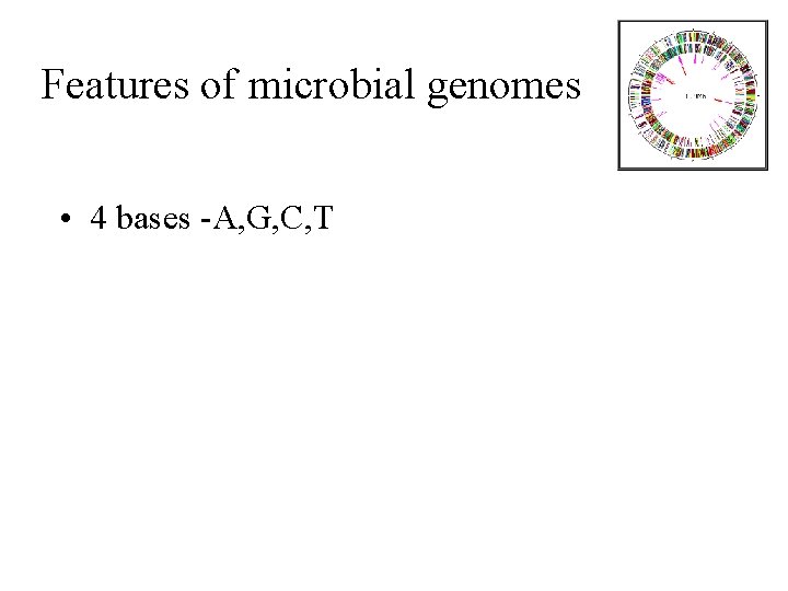 Features of microbial genomes • 4 bases -A, G, C, T 